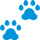 pawprints